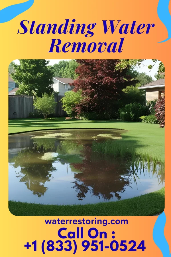 Standing Water Removal in Moorland, IA
